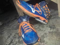 Mizuno Badminton Shoes, slightly used, interested people contact me