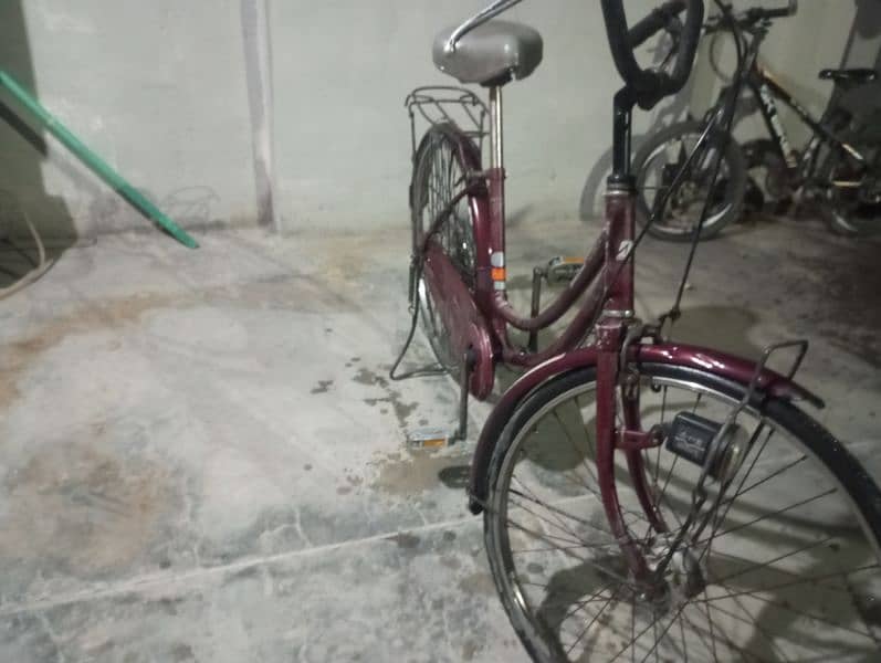 japani cycle 1