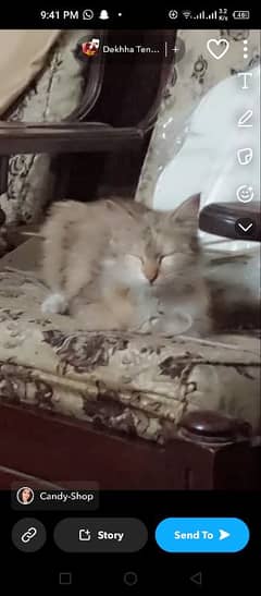 Parsian