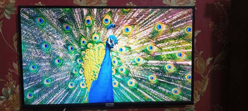 TCL LED For sale 2