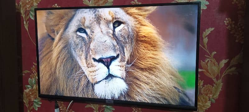 TCL LED For sale 3