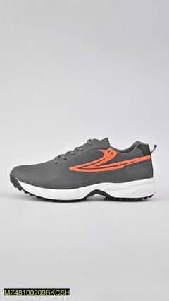 sports shoes