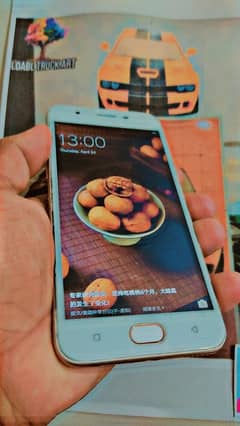 oppo