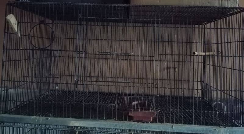 sport welding cage 1