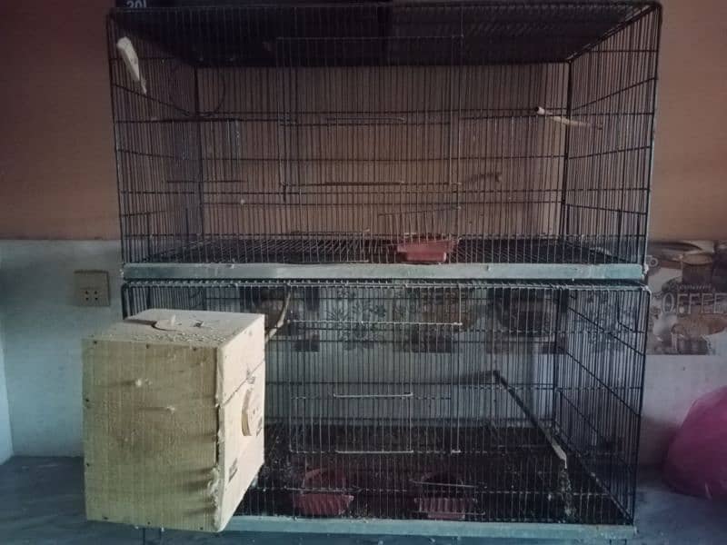 sport welding cage 2