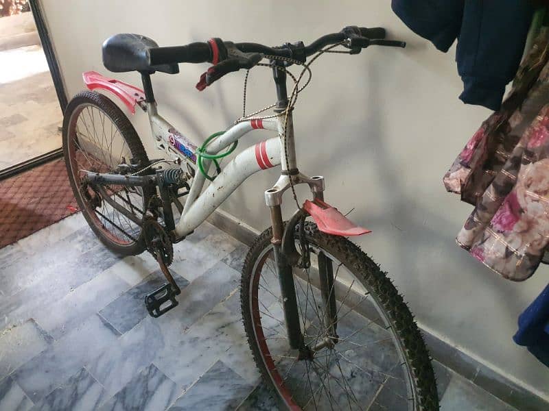 Cycle full size | new tyres 0