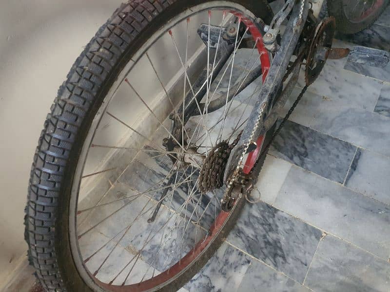 Cycle full size | new tyres 2