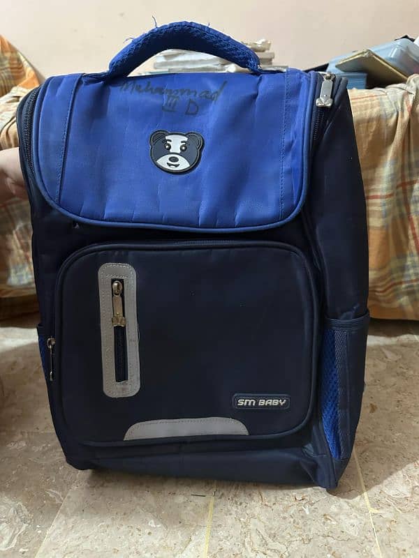 Lot of bags (preloved and new) some original 2