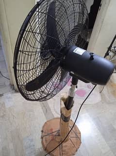 Fan