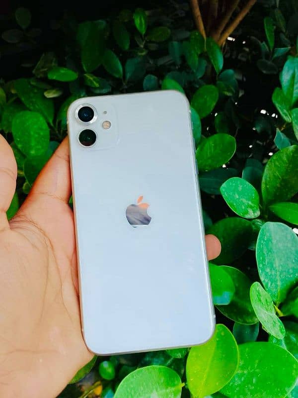 iphone 11 0