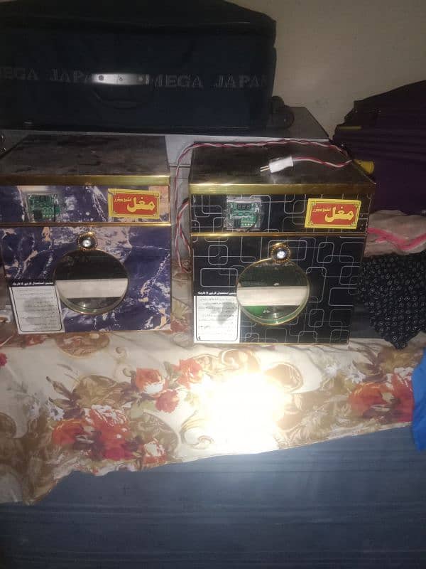 best quality biggest higheted sindi hens 13