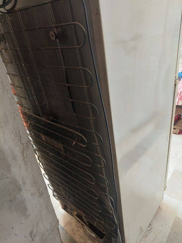 National Fridge Medium size burf b jamtee hai. 2