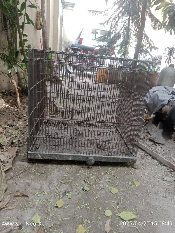 Cages 8