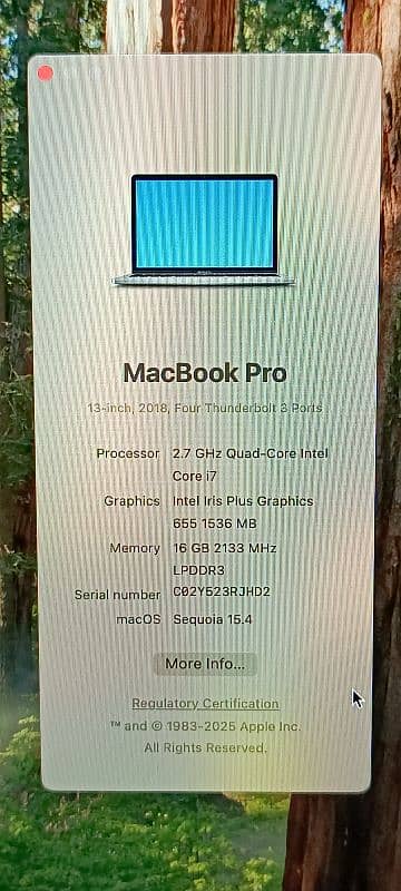 Macbook Pro 2018 13.3" Intel Core i7 16/256 GB Touchbar 4