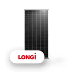 LONGI