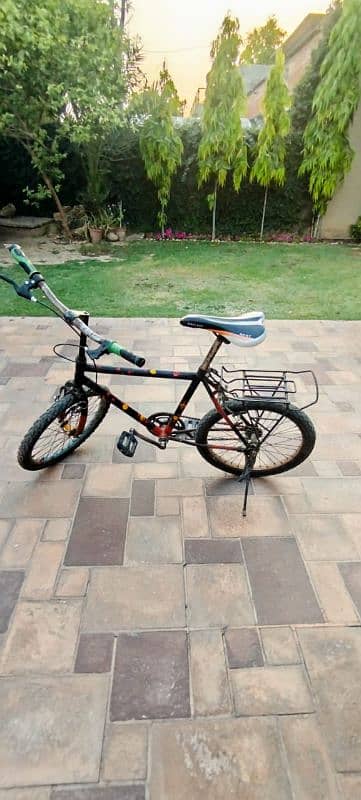 two bicycle 1