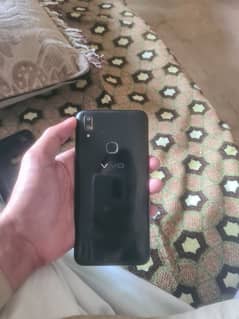 vivo
