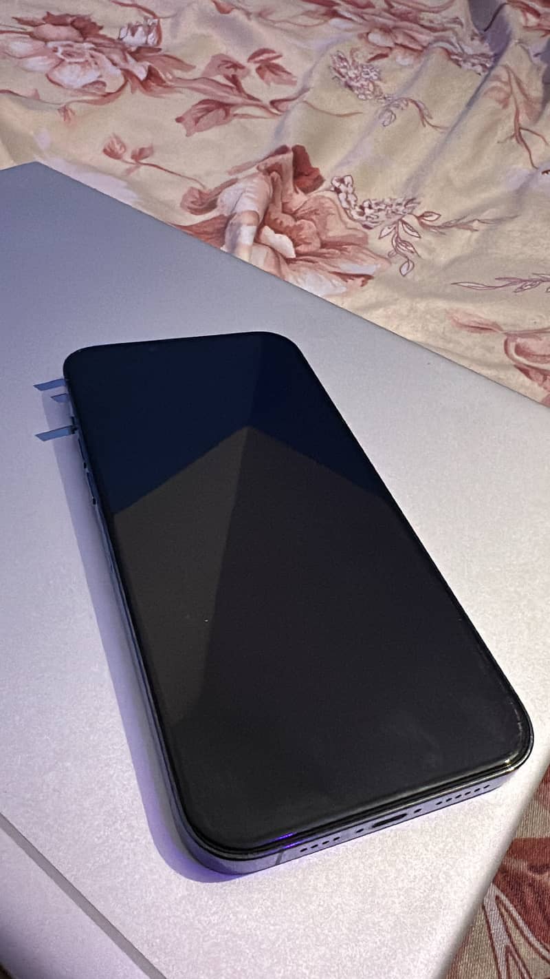 Iphone 13 Pro Max JV 10/10 128 GB 6