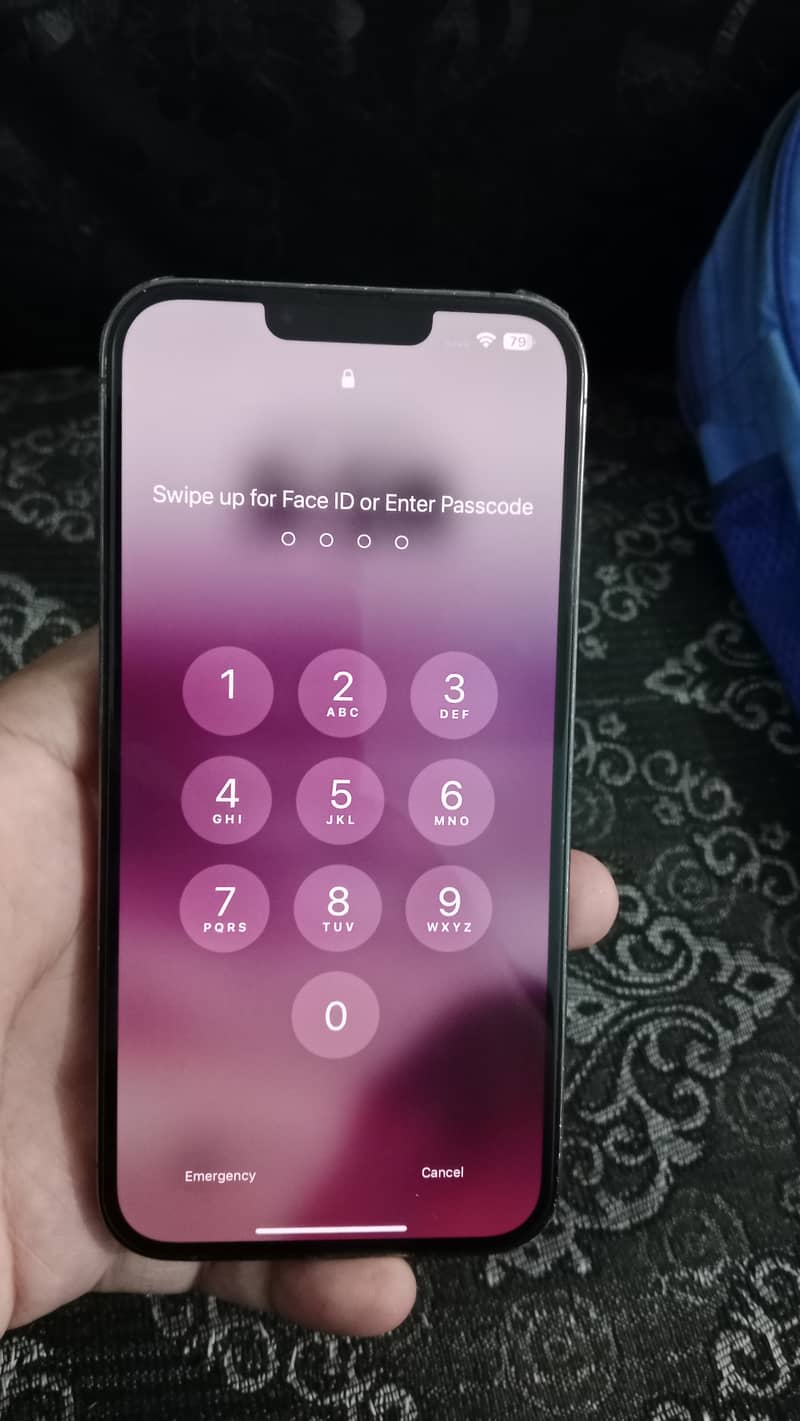 Apple iPhone 13 Pro Max 1