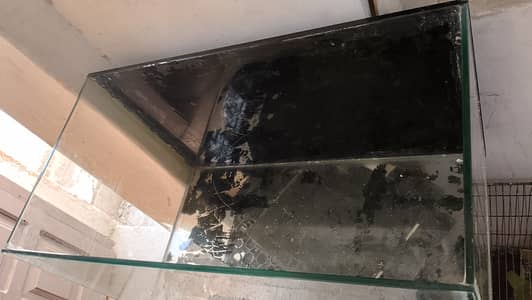 Fish Aquarium+Water Filter. urgent sale need money
