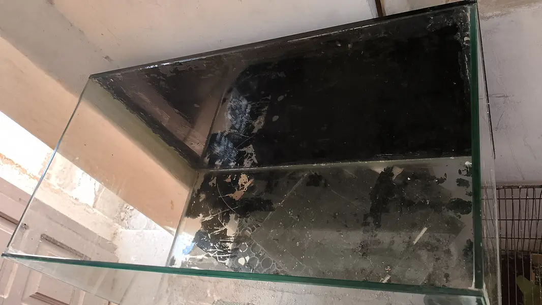 Fish Aquarium+Water Filter. urgent sale need money