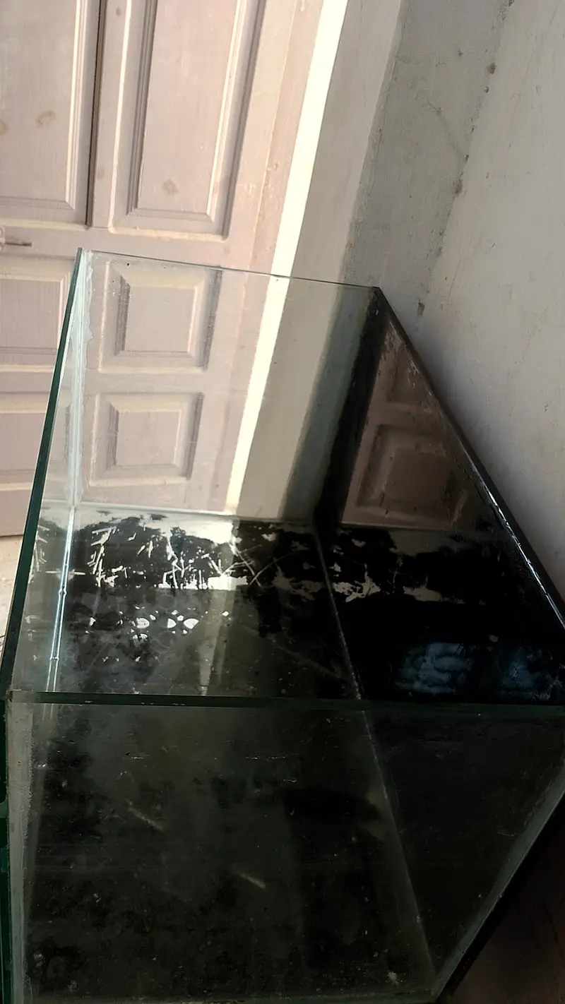Fish Aquarium+Water Filter. urgent sale need money — photo 2