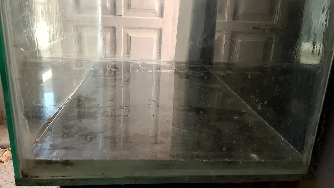 Fish Aquarium+Water Filter. urgent sale need money — photo 4