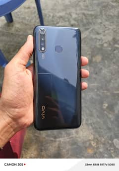 vivo