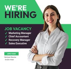 Executive Accountant