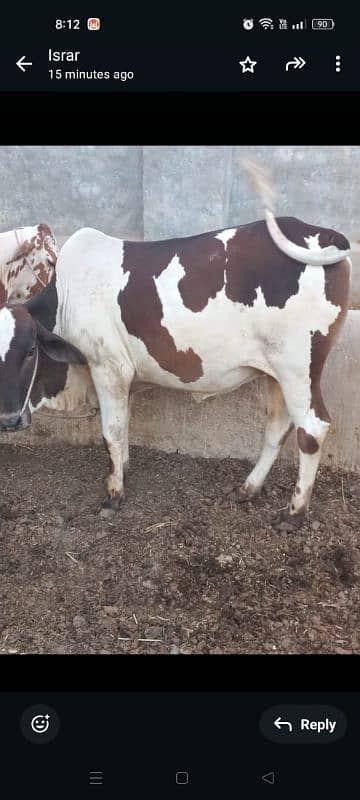 ghr mn pale hue Bachre 2 daant 03143571773 6