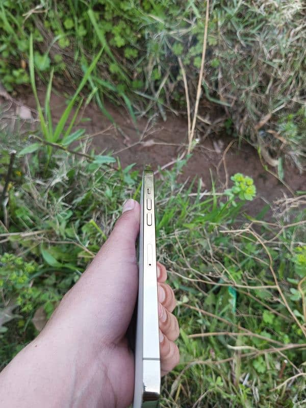 iphone 12 pro max 3