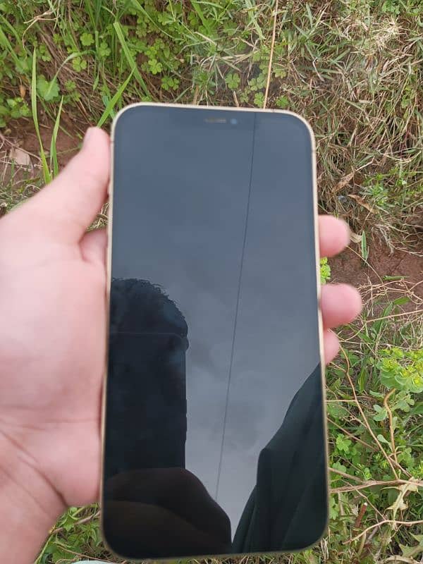 iphone 12 pro max 4