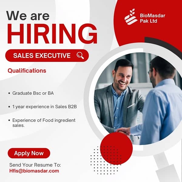 Sales Executive B2B 0