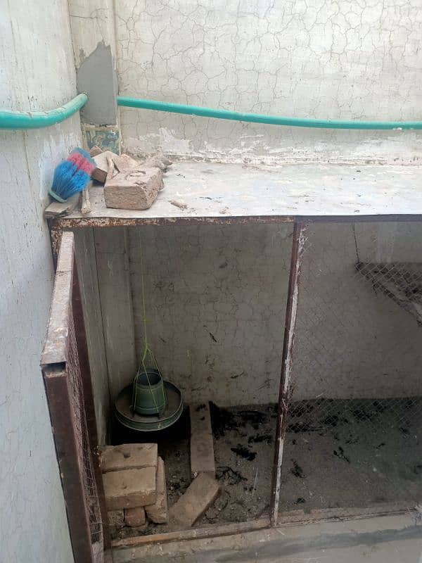 pinjra for sale 1