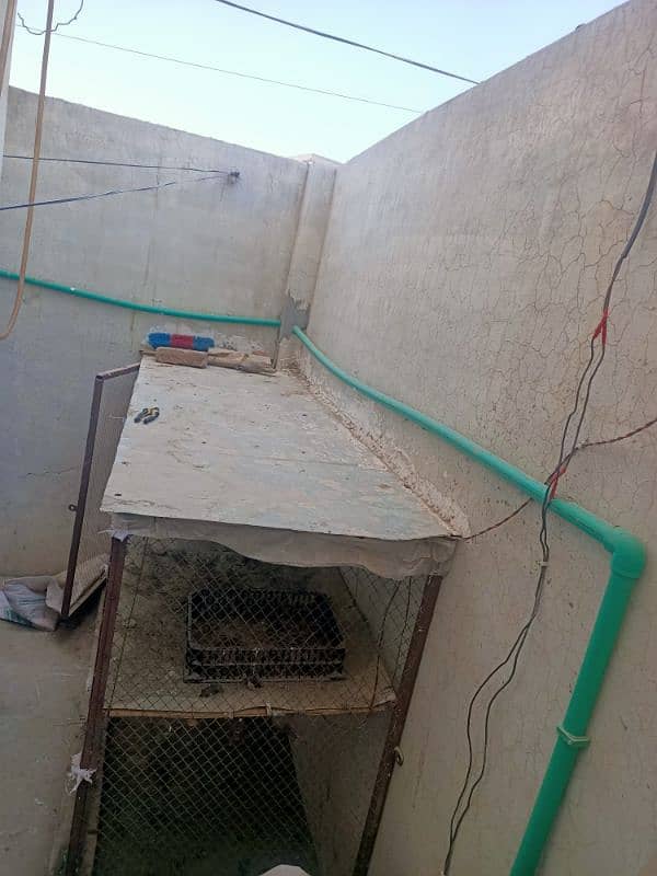 pinjra for sale 2