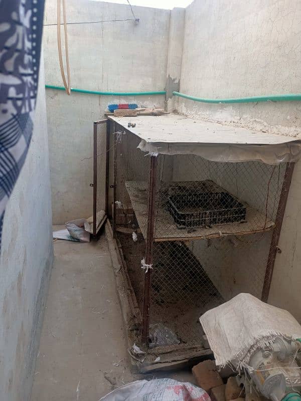 pinjra for sale 3