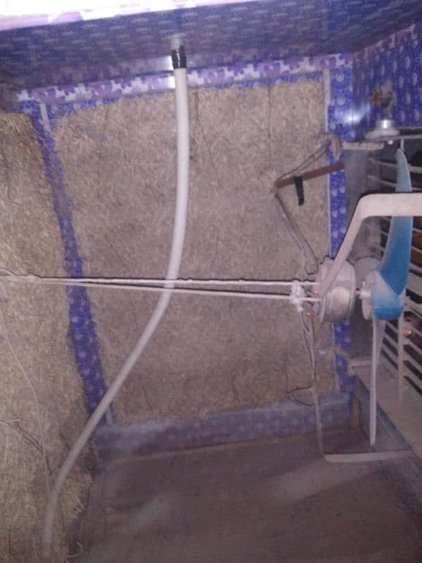 12 Volt Air color 03071008001 1