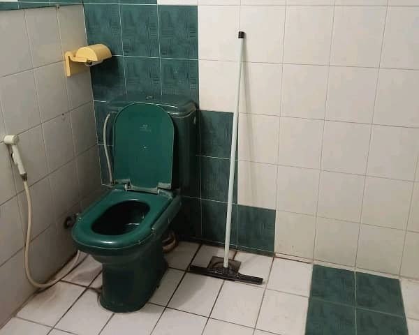 10 Marla House For sale In Allama Iqbal Town - Ravi Block Lahore 20