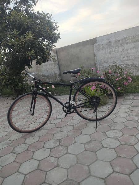 Samchuli Imported road bike 1