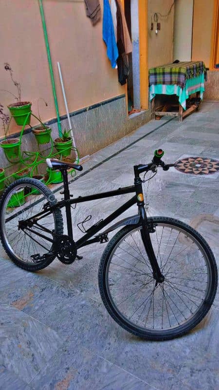 Bicycle 1