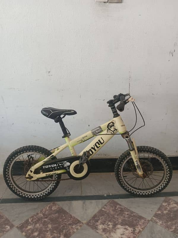 Java bicycle imported 0