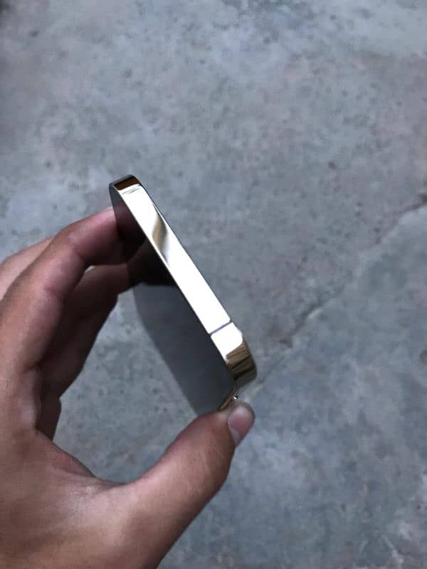 iphone 12 pro (factory unlocked) 2