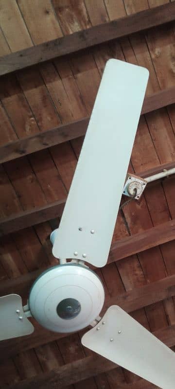 Royal fan 56 inch for sale 0