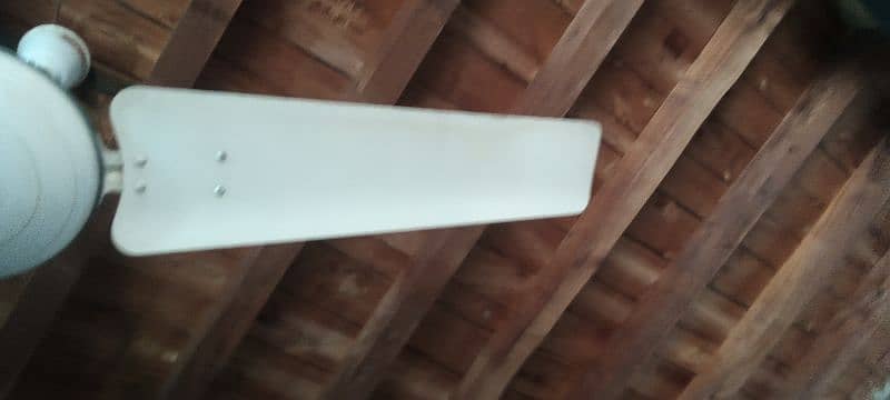 Royal fan 56 inch for sale 2