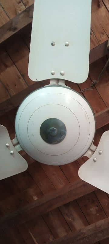 Royal fan 56 inch for sale 3