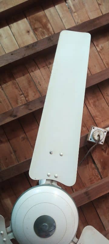 Royal fan 56 inch for sale 4