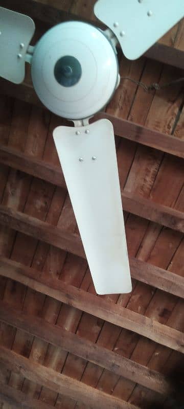Royal fan 56 inch for sale 5