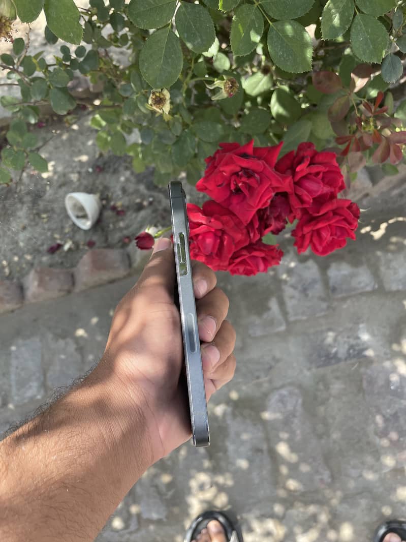 iPhone 12 pro for sale 128 gb jv 0