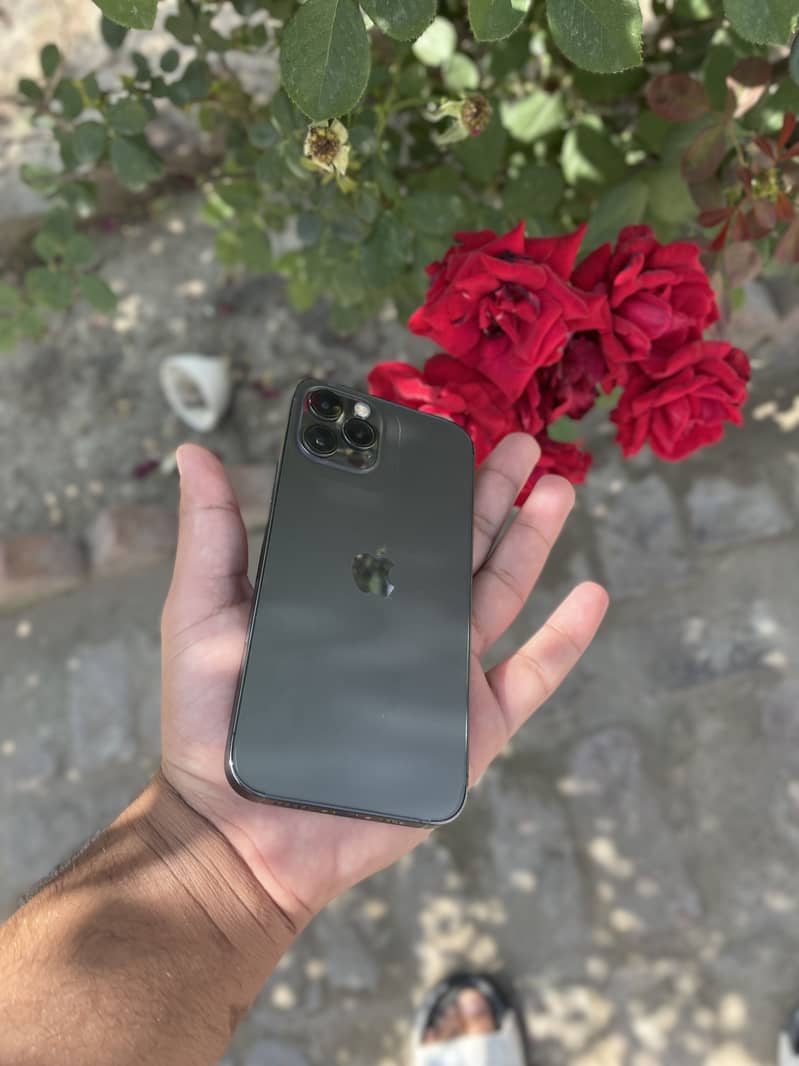 iPhone 12 pro for sale 128 gb jv 2