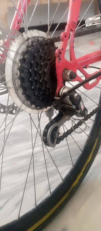 MOUNTAIN CYCLE 0
